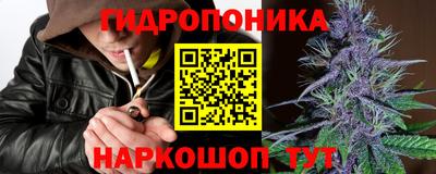 ПСИЛОЦИБИНОВЫЕ ГРИБЫ Камышлов