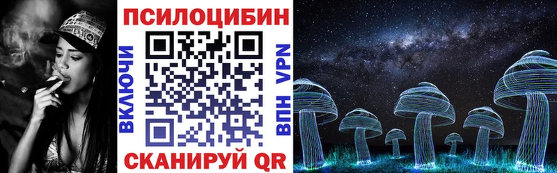 купить наркотик Бутурлиновка Галлюциногенные грибы Magic Shrooms