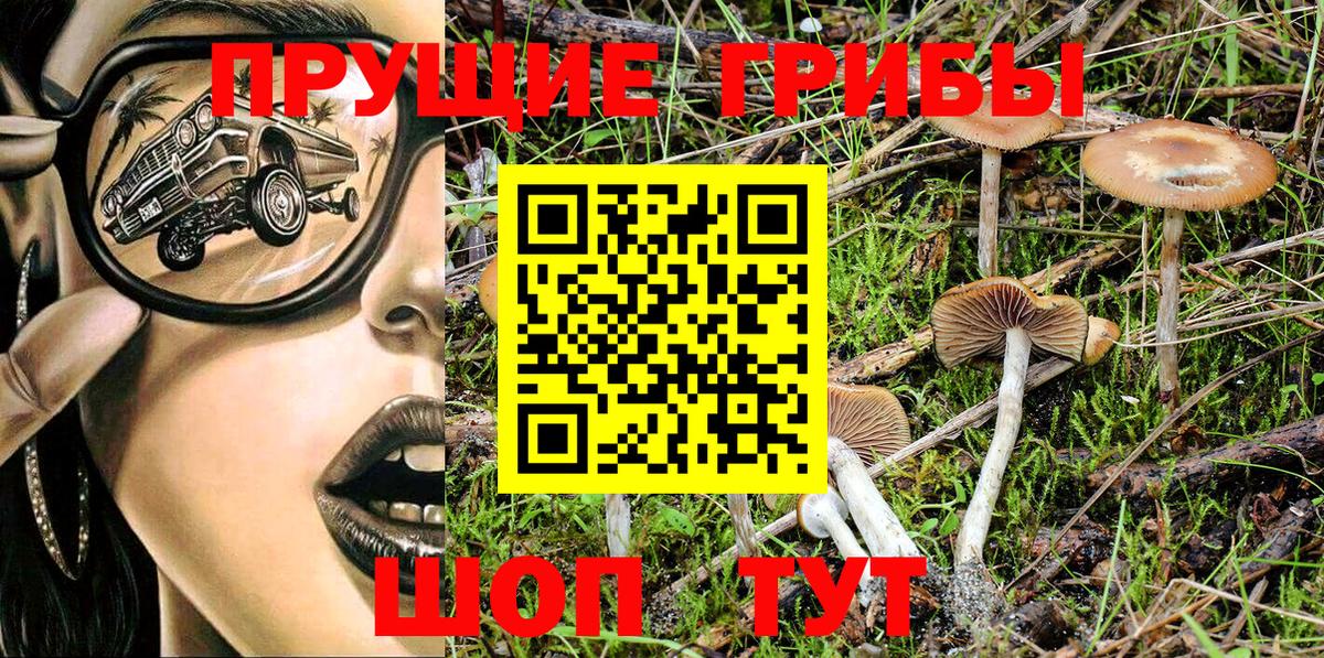 Псилоцибиновые грибы MAGIC MUSHROOMS  Вход с VPN  Галлюциногенные грибы Psilocybe  Бутурлиновка 