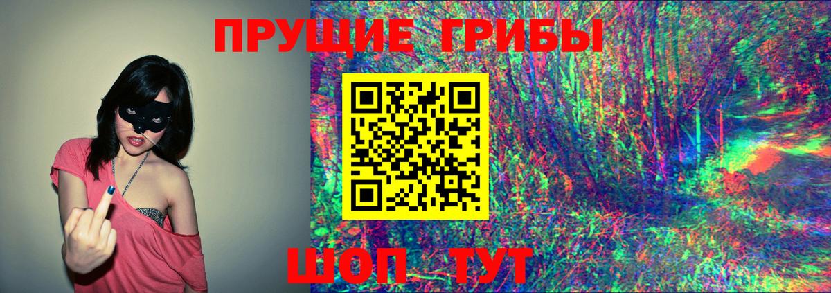 Галлюциногенные грибы Psilocybine cubensis Бутурлиновка